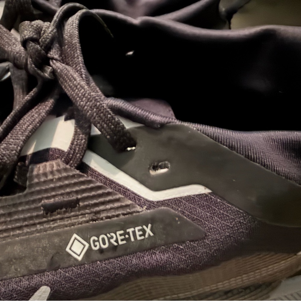 Nike Pegasus Trail 5 Gore Tex - Picture 3 of 6